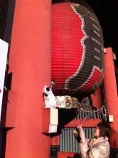 Cats as Sensō-ji temple